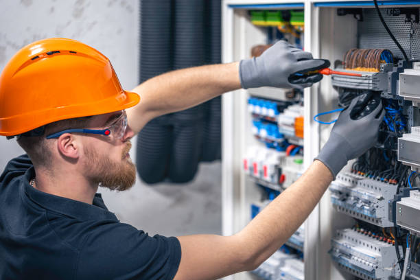 Best Electric Panel Repair  in Timberville, VA